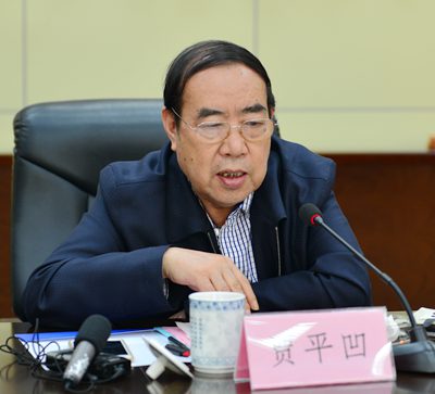 贾_6340 - 副本.JPG